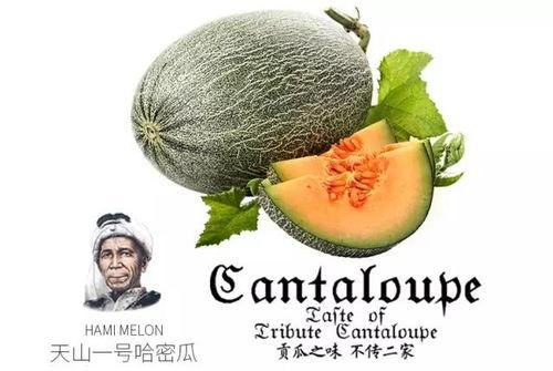 娱乐吃瓜营销号推荐